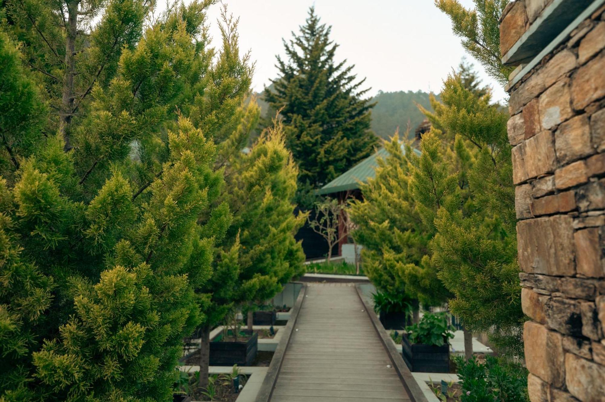 Brij Atmanya Bhowali, Nainital, A Luxury Mountain Escape 외부 사진